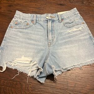 New with tags American Eagle shorts